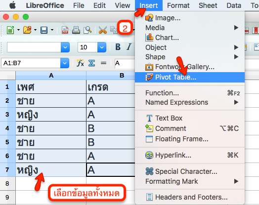 โปรแกรม pivot table using